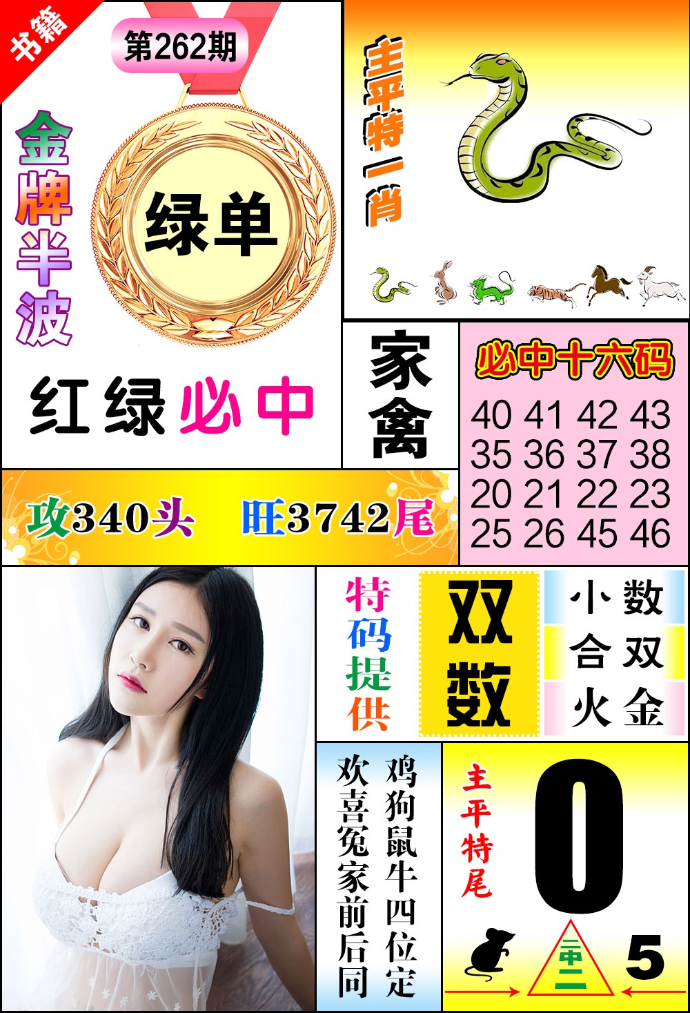 图片资料 21 262期