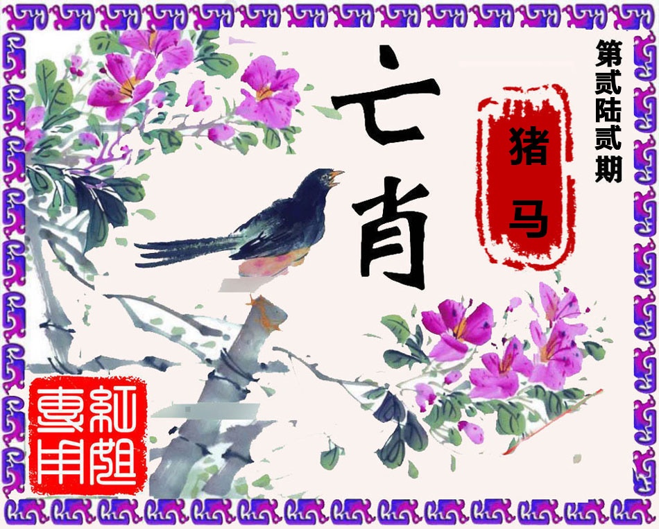图片资料 13 262期